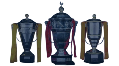 IRL Rugby League World Cup 2026: Men's, Women's Wheelchair draws announced